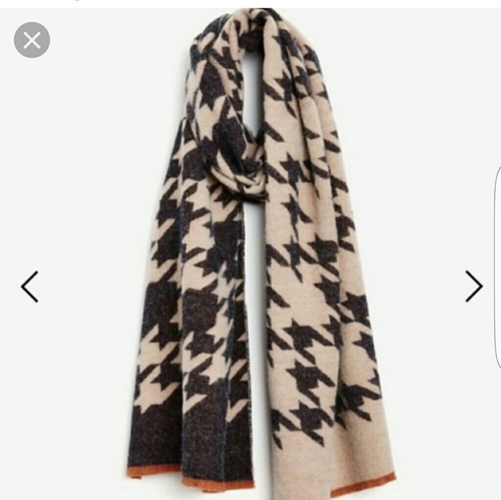Ann Taylor Scarf